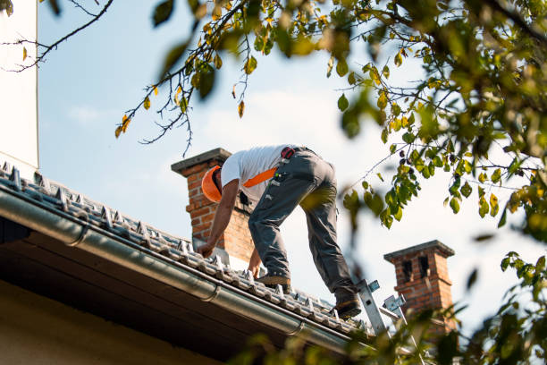 Best Storm Damage Roof Repair  in Throop, PA